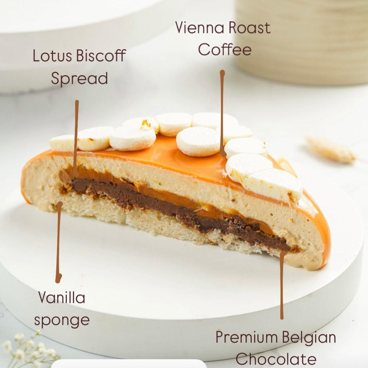 Biscoff, Coffee & Chocolate Cake