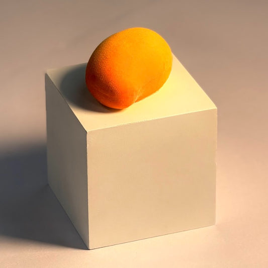 Mango Panna Cotta Petit Gateau